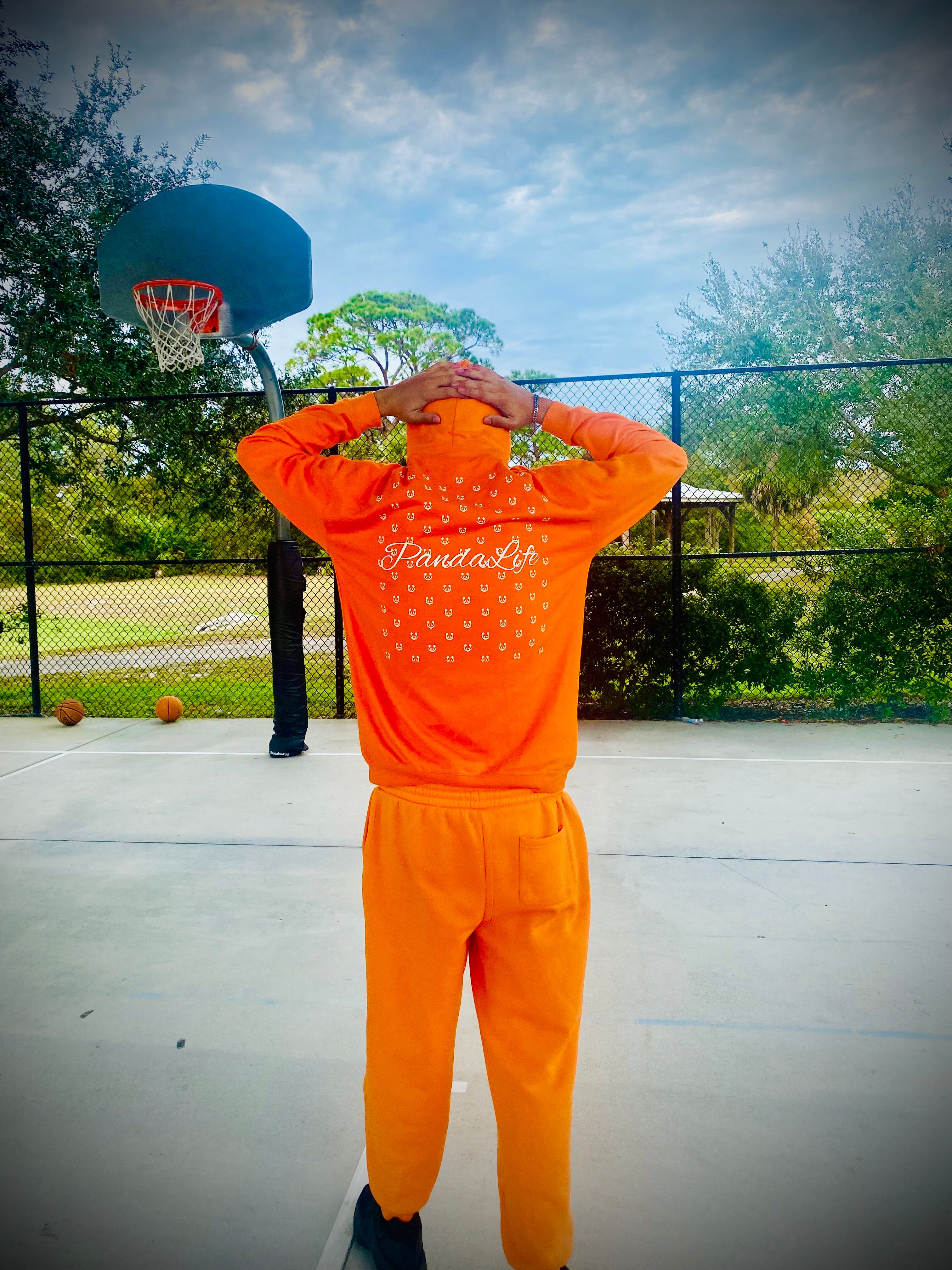 Everyday Panda Hoodie